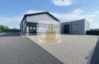 Hală Industrială Săcălaz | 110-330 mp | Acces TIR - 1