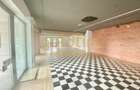 SPATIU COMERCIAL STRADAL/OPEN SPACE/5 PARCARI/IANCU NICOLAE/plus tva - 10