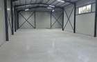 Hala noua 440m² utili Remuș Giurgiu - 5