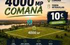 Teren intravilan 4.000 mp Comana (Budeni) | 10 €/mp negociabil | Comis