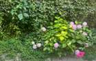 4 Camere Herastrau | Gradina 40 mp | 2 locuri de parcare+boxa - 15