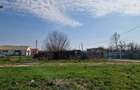 Fermă de vânzare 8 ha – Balș, județul Olt - 9