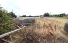 Vand ferma agricola jud. Galati -150.000 euro - 4