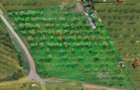Teren intravilan, 2 x 25 ari, Livada SCPP, Strada Cerbului, Zalău, panoramă - 1
