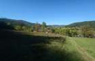 5,6 ha terenuri si padure in Criscior - 5