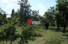 Teren intravilan | 2.810 mp|18ml|Zona Fratelia| - 11