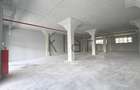 Spatiu comercial / Showroom 288mp, Someseni, zona Aeroport - 2