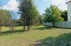 Casa cu teren intravilan 2.273 mp- pozitie centrala Darmanesti Bacau - 4