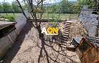 De vanzare casa P+M in stil rustic, 312 mp teren, Barabant - 15