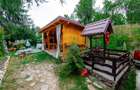 Pensiune de vânzare, Corbșori (Poenari)| potențial real de Business - 16