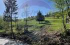 Teren 12,127mp Frasin / Drumul Forestier Valea Seacă - 10