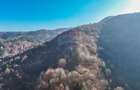 Teren Colinar Panoramic – 17.684 mp în Scheii Brașovului - 6