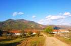 Vand teren  500 m p , 1000 mp  , 17500 mp intravilan , negociabil. - 3