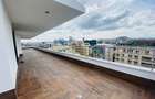 Penthouse Herastrau - 2