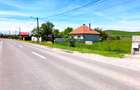 Oportunitate de Investiție. Teren 5.000 mp în Podul Oltului. - 1