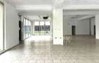 Spatiu Comercial - 254MP  - Manastur - Vitrina - 2