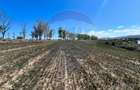 Teren extravilan de vanzare in Tulcea - 7