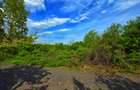 Teren intravilan | 700 mp | Hipodrom | Dublu acces - 2