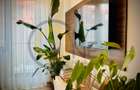 Apartament 2 camere cu terasa Vatra noua - Băneasa - 6