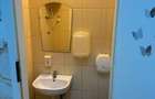 Inchiriere Vila 325 mp | Timpuri Noi | 9 camere + curte 800 mp - 8
