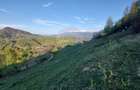 Teren intravilan panoramic în Peștera, Moieciu - 11048 mp - 3