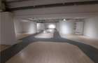 Spatii Comerciale - 500 mp - Showroom - Comert - 11