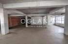 Spatiu Comercial 305 mp+ gradina 178mp, Bieltz/Turnisor - 4