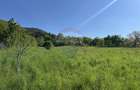 Teren Bistrita / Plopusor - 4