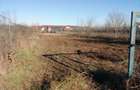 Teren constructie casa -1000 mp - Snagov, Strada Tudor Vladimirescu - 5