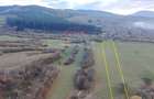 Teren 5.800 mp Purcareni curent, gaz, apă / Strada 30 decembrie - 6