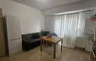 Amurgului La Strada apartament 2 camere tip studio cu gradina. - 7