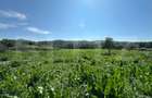 Casa saseasca de vanzare, curte, gradina, teren 3000 mp - Jimbor, jud Brasov - 6