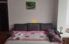 3 camere, Marasti, Dorobantilor, FSEGA, The Office, 21 Dec, Lidl, OMV - 4