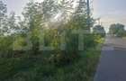 Teren extravilan de vanzare, 5000 mp, zona Viisoara - 2