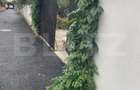 Casă 4 camere, 790 mp teren, zona Bariera Vîlcii - 14