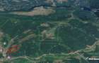 Eco Retreat Land in Apuseni Romania - Poiana Horea - 2