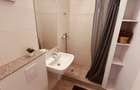 Piata Unirii - Bd Natiunile Unite - apartament renovat - 5
