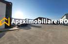 Hala Industriala Xenia – 1800 mp, Acces TIR, Parcare 50 Auto - 10