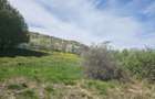 Teren 1,000mp Piatra-Neamt / Zona Fermelor - 10