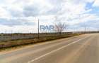Teren 7.092 mp cu PUZ aprobat + Autorizatie / investiție autostrada A7 - 3