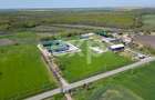 Black Angus Farm with authorized Slaughterhouse - 9