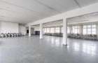 Apreciabil ansamblu:industrial+productie+ birouri+6.322mp teren,Bretcu,Covasna - 9
