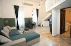 Apartament ultracentral tip Loft - 5