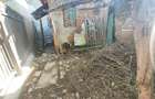 Casa 3 camere, teren 128 mp, Craiova, zona Bariera Valcii - 9