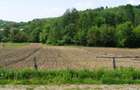 Vad 22000 mp INTRAVILAN BOGATI DJ702C jud Arges - 4