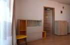 Zona linistita, posibilitate decontare-Sagului - 5