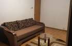 Apartament cu 1 camera - zona Centru Civic  -Tg. Cucu - 11