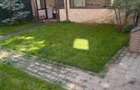 3 camere, decomandat, 80 mp, Renovat 2026, Calea Galati - 11