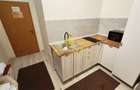 1 camera, TOTUL NOU, modern, PET FRIENDLY, Borhanci - 4