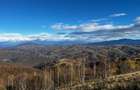 Teren extravilan 2ha, priveliste panoramica spre munti /Poiana Marului - 10